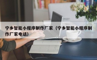 广安宁乡智能小程序制作厂家（宁乡智能小程序制作厂家电话）
